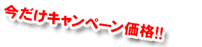今だけキャンペーン価格!!