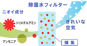 除菌水フィルターイメージ