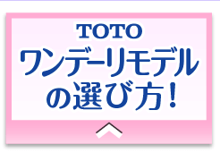 TOTO ワンデーリモデルの選び方