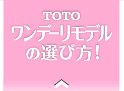 TOTO ワンデーリモデルの選び方