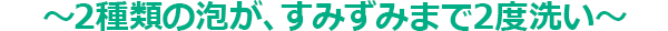 2種類の泡が、すみずみまで2度洗い