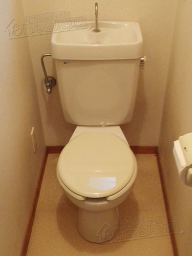 The Number One Article On Lake